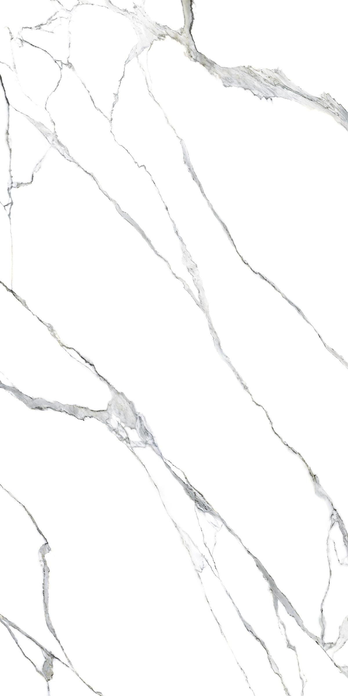 Ava ceramica Marmi Statuario Splendente 160x320 cm